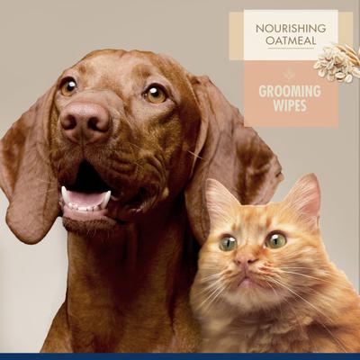 Show full view: Four Paws Magic Coat Professional Series Dog & Cat Grooming Wipes, 100 count slide 3 of 10