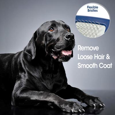 Show full view: Four Paws Magic Coat Professional Series Dog Slicker Brush, Small slide 4 of 11