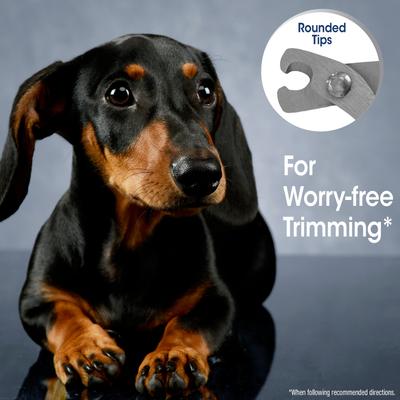 Show full view: Four Paws Magic Coat Professional Series Easy-Grip Nail Clipper, Small slide 4 of 11