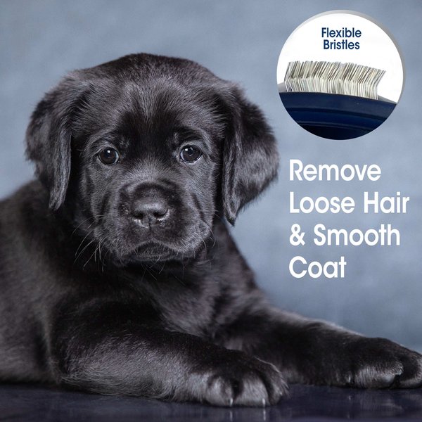 Show full view: Four Paws Magic Coat Professional Series Gentle Slicker Brush slide 6 of 11
