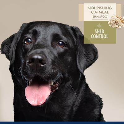 Show full view: Four Paws Magic Coat Professional Series Nourishing Oatmeal De-Shedding Dog Shampoo, 16-fl oz bag slide 3 of 11