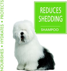 Four Paws Magic Coat Reduces Shedding Shampoo for Dogs, Honey Vanilla Scent, 16-fl oz slide 2 of 8