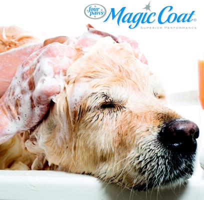 Show full view: Four Paws Magic Coat Reduces Shedding Shampoo for Dogs, Honey Vanilla Scent, 16-fl oz slide 6 of 9