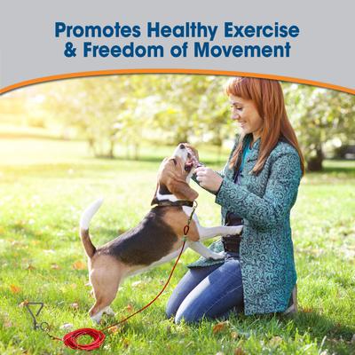 Show full view: Four Paws Medium Weight Tie Out Cable, 15-ft slide 3 of 9