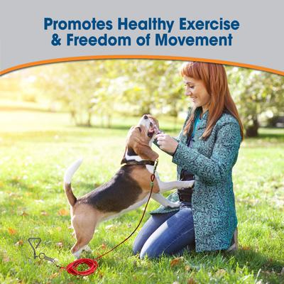 Show full view: Four Paws Medium Weight Tie Out Cable, 30-ft slide 4 of 9