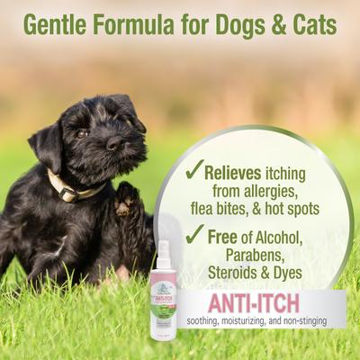 Show full view: Four Paws Pet Aid Fast-Acting Anti Itch Spray, 8-fl oz bottle slide 5 of 12