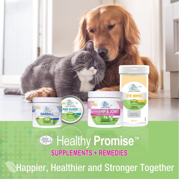 Four Paws Pet Aid Fast-Acting Anti Itch Spray