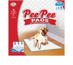 Four Paws Pet Select Pee Pee Dog Pads, 22 x 22-in, 100 count