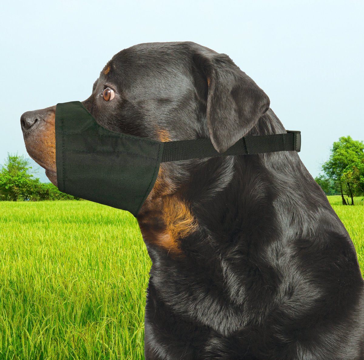 Four Paws Quick-Fit Dog Muzzle