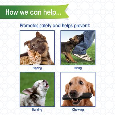 Show full view: Four Paws Quick-Fit Dog Muzzle, S slide 5 of 11