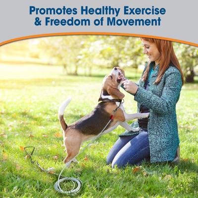 Show full view: Four Paws Super Weight Tie Out Cable, 20-ft slide 5 of 9