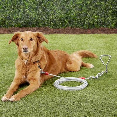 Show full view: Four Paws Super Weight Tie Out Cable, 20-ft slide 6 of 9