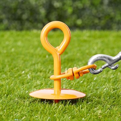 Show full view: Four Paws Walk-About Giant Tie Out Stake, 28-in slide 3 of 6