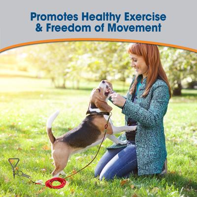 Show full view: Four Paws Walk-About Spiral Tie-Out Stake for Dogs, 15-ft slide 3 of 8