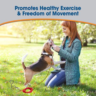 Show full view: Four Paws Walk-About Spiral Tie-Out Stake slide 6 of 8