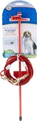 Four Paws Walk-About Tie Out Stake, 25-ft