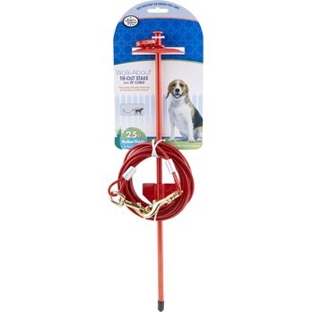 Dog Tie Out Stakes: Spiral, Screw In More (Free Shipping) Chewy