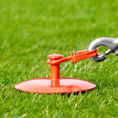 Show full view: Four Paws Walk-About Tie Out Stake, 25-ft slide 6 of 8