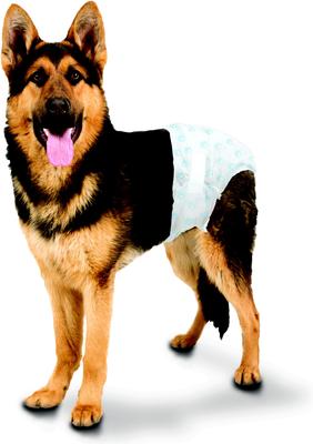 Show full view: Four Paws Wee-Wee Disposable Dog Diapers, Large/X-Large, 36 count slide 6 of 12