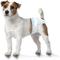 Show in main carousel: Four Paws Wee-Wee Disposable Dog Diapers, Small, 36 count slide 1 of 13