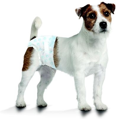 Show full view: Four Paws Wee-Wee Disposable Dog Diapers, Small, 36 count slide 7 of 13