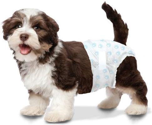 Four Paws Wee-Wee Disposable Dog Diapers, X-Small, 12 count