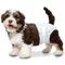 Show in main carousel: Four Paws Wee-Wee Disposable Dog Diapers, X-Small, 36 count slide 1 of 13
