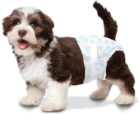 Show full view: Four Paws Wee-Wee Disposable Dog Diapers, X-Small, 36 count slide 7 of 13