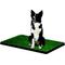 Show in main carousel: Four Paws Wee-Wee Dog Grass Patch Tray, Medium, 3 count slide 2 of 7