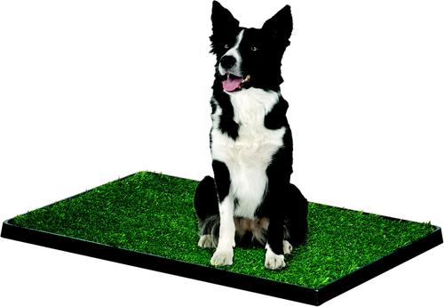 Show full view: Four Paws Wee-Wee Dog Grass Patch Tray, Medium, 3 count slide 2 of 7
