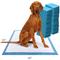 Show in main carousel: Four Paws Wee-Wee Odor Control Advanced Formula Dog Training Pads, 22 x 23-in, 100 count slide 7 of 14