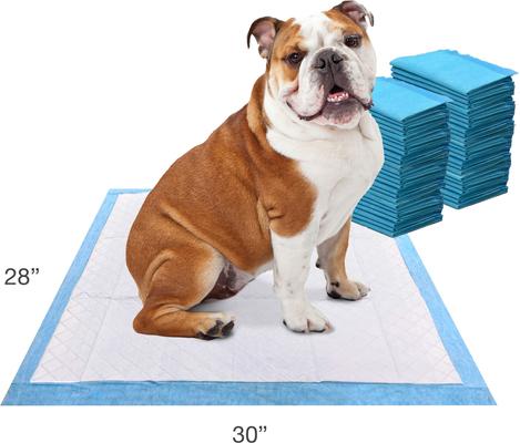 Show full view: Four Paws Wee-Wee Odor Control Dog Training Pads with Febreze Freshness, 22 x 22-in, 50 count slide 7 of 12