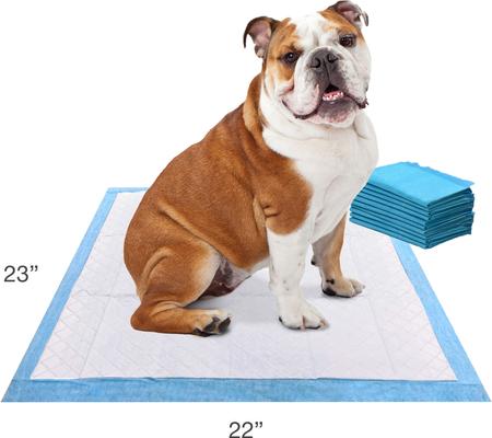 Show full view: Four Paws Wee-Wee Odor Control Dog Training Pads with Febreze Freshness, 22 x 23-in, 10 count slide 7 of 12