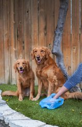 Four Paws Wee-Wee Outdoor Odor Control Heavy Duty Dog Waste Bags Refill Rolls, 120 count slide 2 of 8