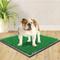 Show in main carousel: Four Paws Wee-Wee Premium Patch Grass Mat for Dogs, 22-in x 23-in  slide 4 of 9