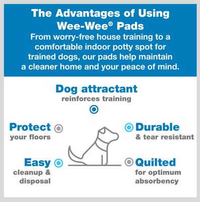 Show full view: Four Paws Wee-Wee Super Absorbent Dog Pee Pads, 24 x 24-in, 22 count slide 2 of 11