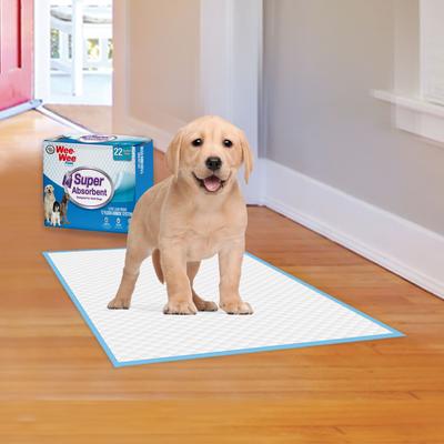 Show full view: Four Paws Wee-Wee Super Absorbent Dog Pee Pads, 24 x 24-in, 22 count slide 7 of 11