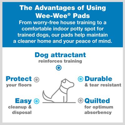 Show full view: Four Paws Wee-Wee Super Absorbent Dog Pee Pads, 24 x 24-in, 40 count slide 2 of 12