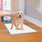 Show in main carousel: Four Paws Wee-Wee Super Absorbent Dog Pee Pads, 24 x 24-in, 40 count slide 7 of 12