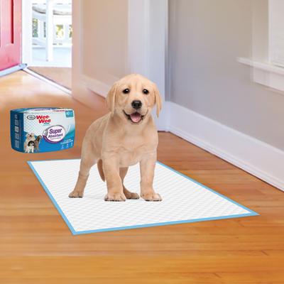 Show full view: Four Paws Wee-Wee Super Absorbent Dog Pee Pads, 24 x 24-in, 40 count slide 7 of 12