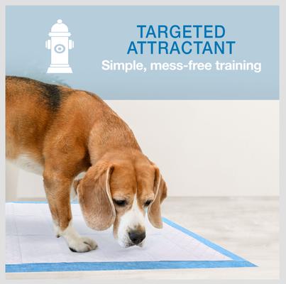 Show full view: Four Paws Wee-Wee Superior Performance Dog Pee Pads, 22 x 22-in, 100 count slide 5 of 13