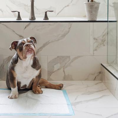 Show full view: Four Paws Wee-Wee Superior Performance Dog Pee Pads, 22 x 22-in, 14 count slide 3 of 13