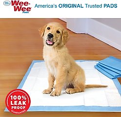 Four Paws Wee-Wee Superior Performance Dog Pee Pads, 22 x 23-in, 50 count, Unscented slide 2 of 9