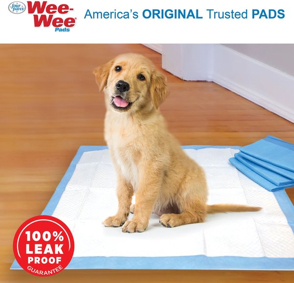 Show full view: Four Paws Wee-Wee Superior Performance Little Dog Pee Pads, 16.5 x 23.5-in, 28 count slide 4 of 12