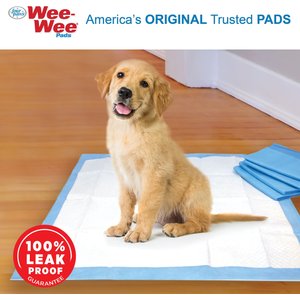 Four Paws Wee-Wee Superior Performance Little Dog Pee Pads, 16.5 x 23.5-in, 28 count