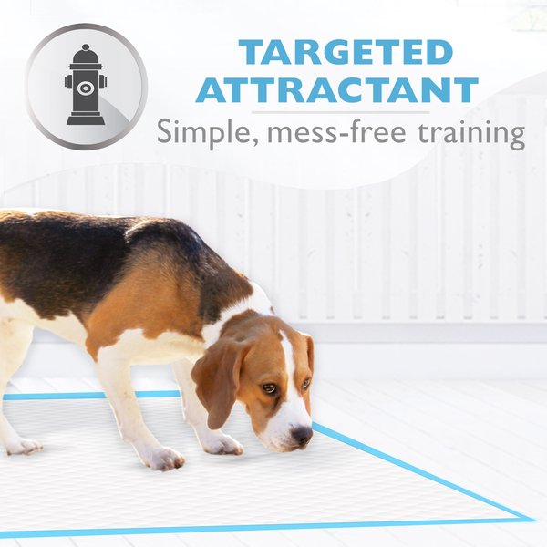Show full view: Four Paws Wee-Wee Superior Performance Little Dog Pee Pads, 16.5 x 23.5-in, 28 count slide 5 of 12