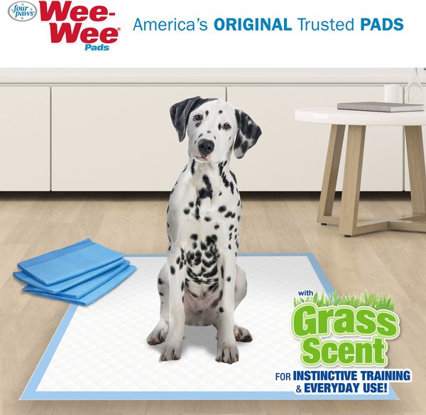Show full view: Four Paws Wee-Wee Ultimate Attractant Dog Pee Pads, Grass Scent, 22 x 23-in, 50 count slide 4 of 9
