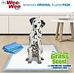 Show in main carousel: Four Paws Wee-Wee Ultimate Attractant Dog Pee Pads, Grass Scent, 22 x 23-in, 50 count slide 4 of 9