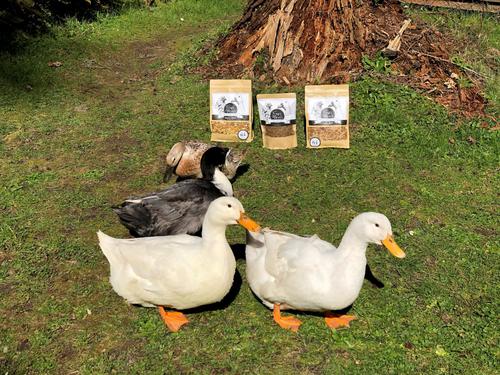 Show full view: Fowl Treats Mealworm Blend Equinox Blend Chicken & Duck Treats, 2-lb bag slide 6 of 8