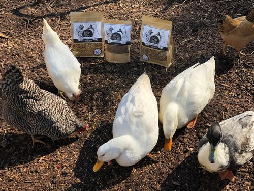 Show full view: Fowl Treats Mealworm Blend Equinox Blend Chicken & Duck Treats, 2-lb bag slide 7 of 8